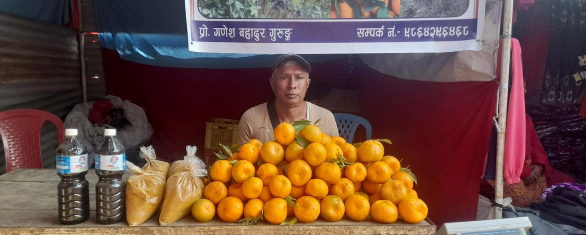 जङ्गल फाँडेर सुन्तलाखेती विस्तार