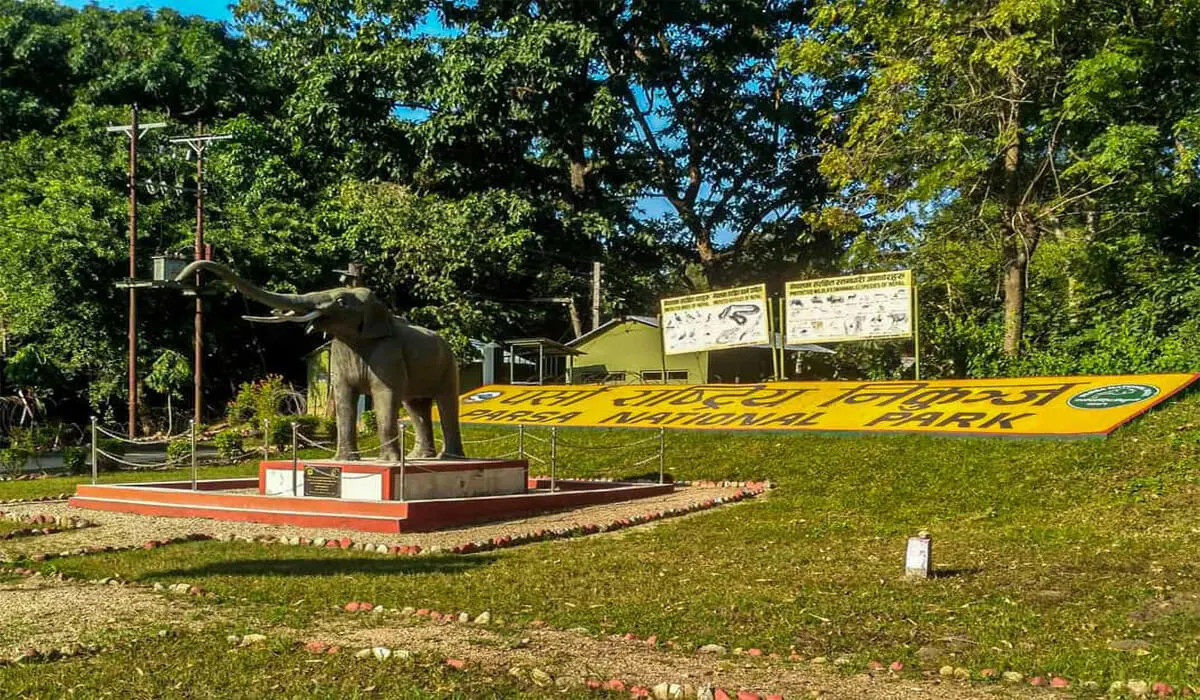पर्सा निकुञ्जमा बाघ गणना थालियो