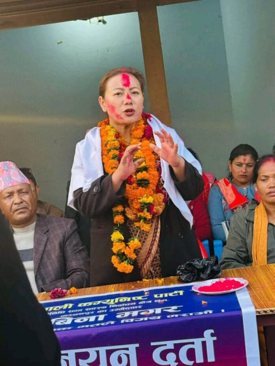 बीना मगर बिरुद्ध विदेशबाट झुटा प्रचारबाजी, कार्बाहीको चेतावनी