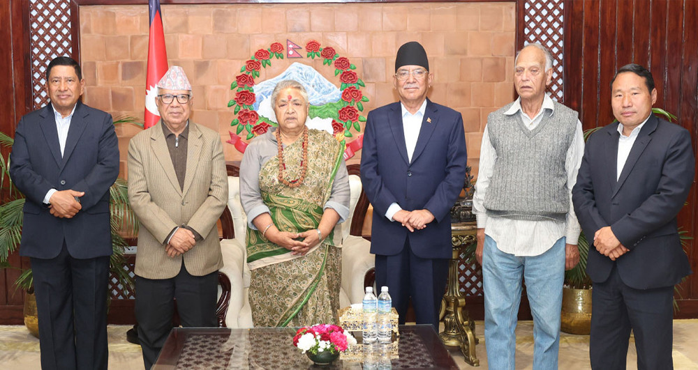 निर्वाचन सफल पार्न भूमिका खेलेको भन्दै प्रधानमन्त्रीले दिइन् नेकपालाई धन्यवाद