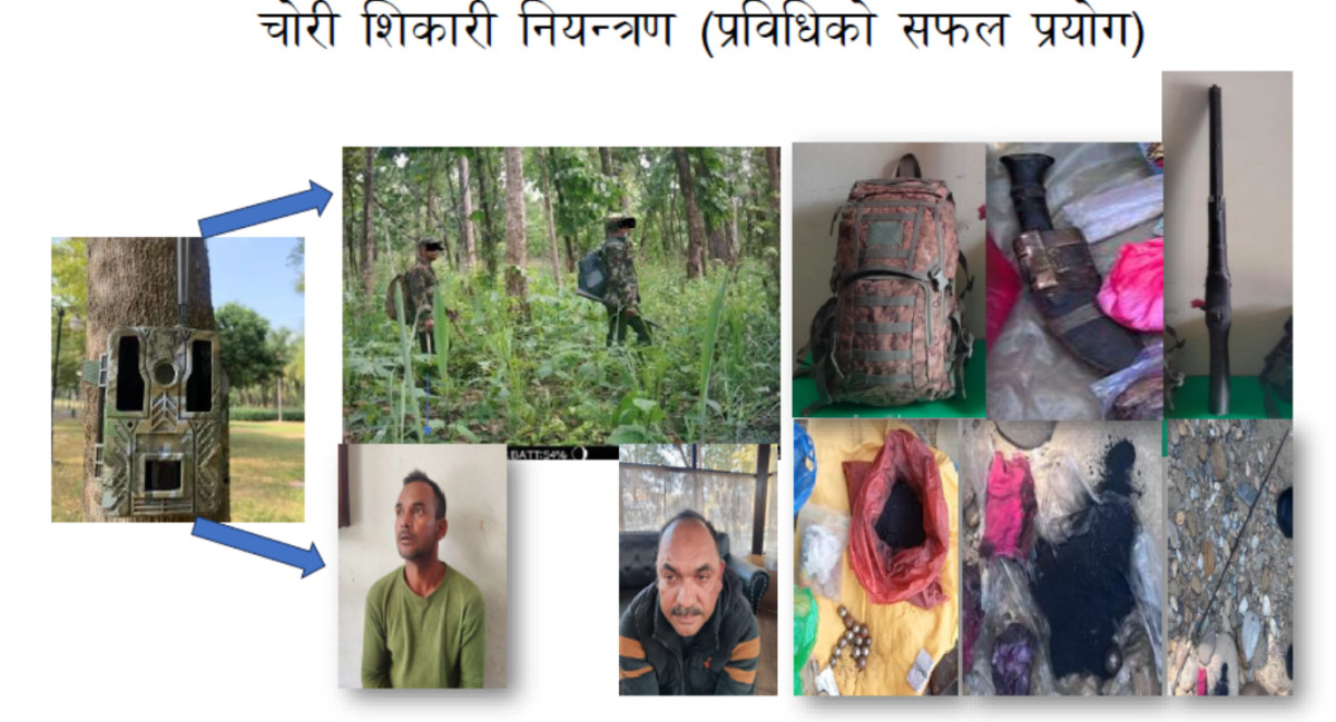 चितवन राष्ट्रिय निकुञ्जमा स्पाइ क्यामेराले खुलायो शंकास्पद हतियारधारीको गतिविधि