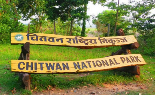 चितवन राष्ट्रिय निकुञ्जमा सुरक्षार्थ तालिमप्राप्त कुकुर परिचालन