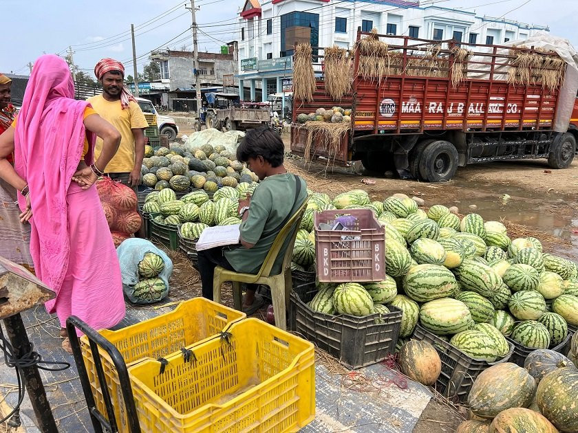 सिरहामा खर्बुजाको सिजन सुरु
