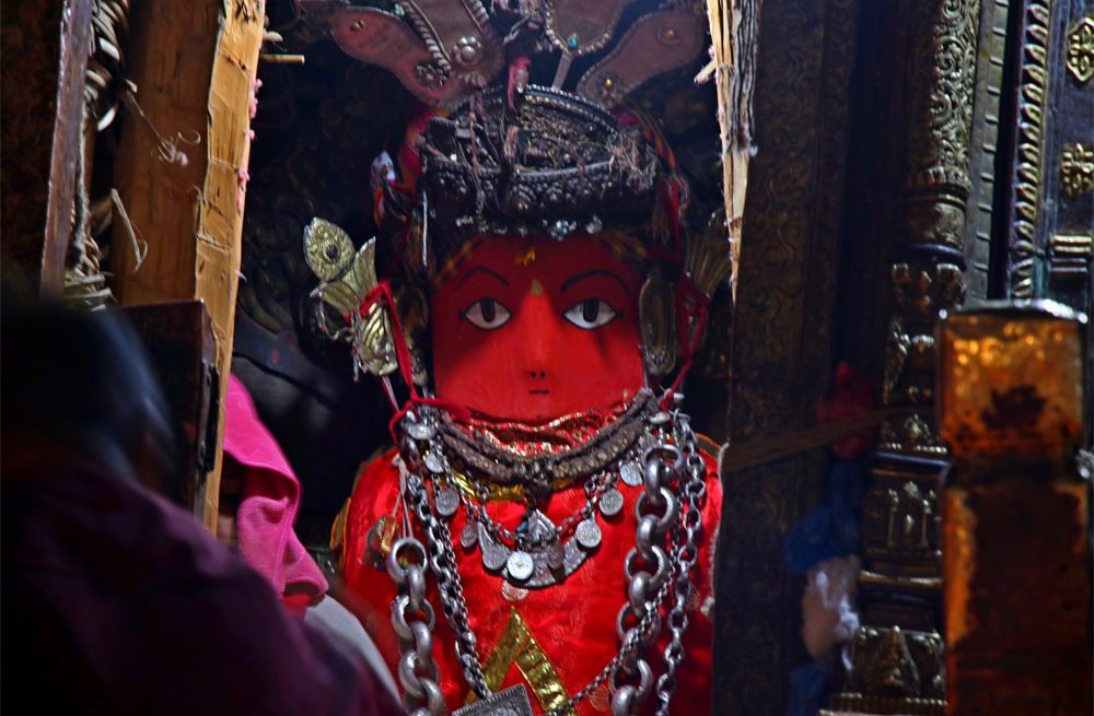 रातो मच्छिन्द्रनाथसँग सम्बन्धित सामग्री सङ्कलन गरिँदै