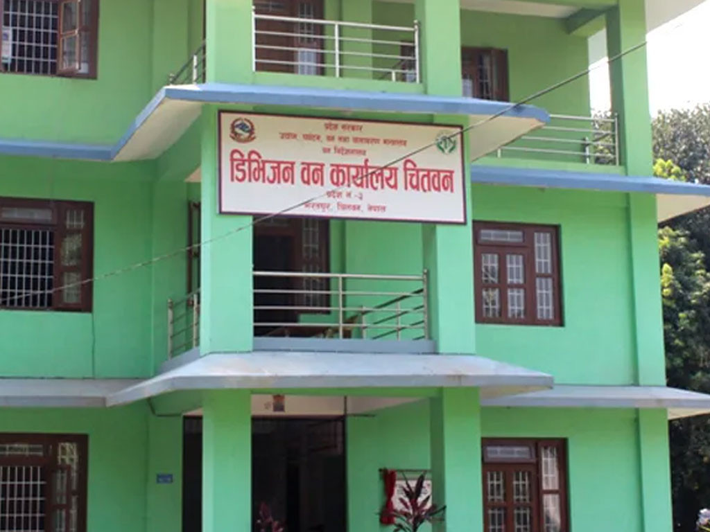 डिभिजन वन कार्यालय चितवनद्धारा देववृक्ष उत्पादन सुरु