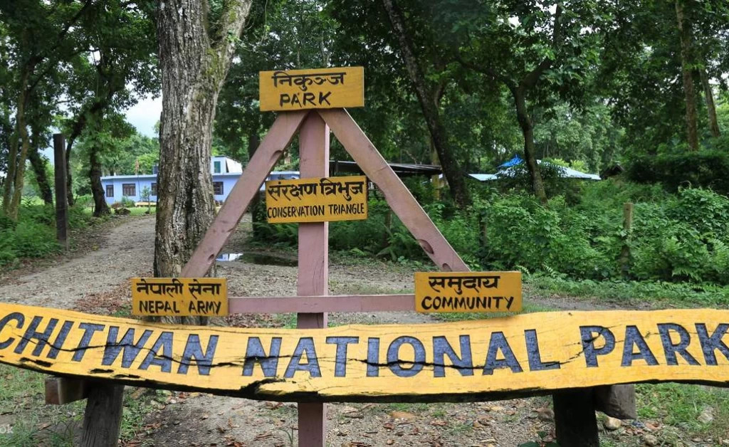 चितवनमा कृत्रिम सिमसार र सोलार प्रविधिबाट वन्यजन्तु संरक्षणको नयाँ पहल
