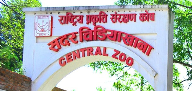 चिडियाखानाको पोखरीमा डुबेका पुरुषको मृत्यु